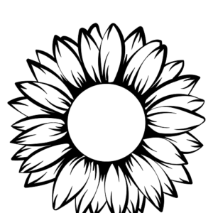 sunflower for kids