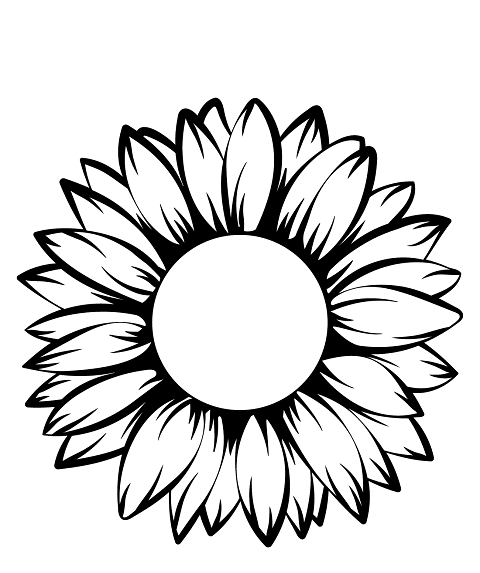 Sunflower for kids