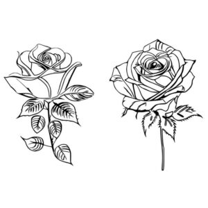 2 Beautiful flower drawing rose with colour