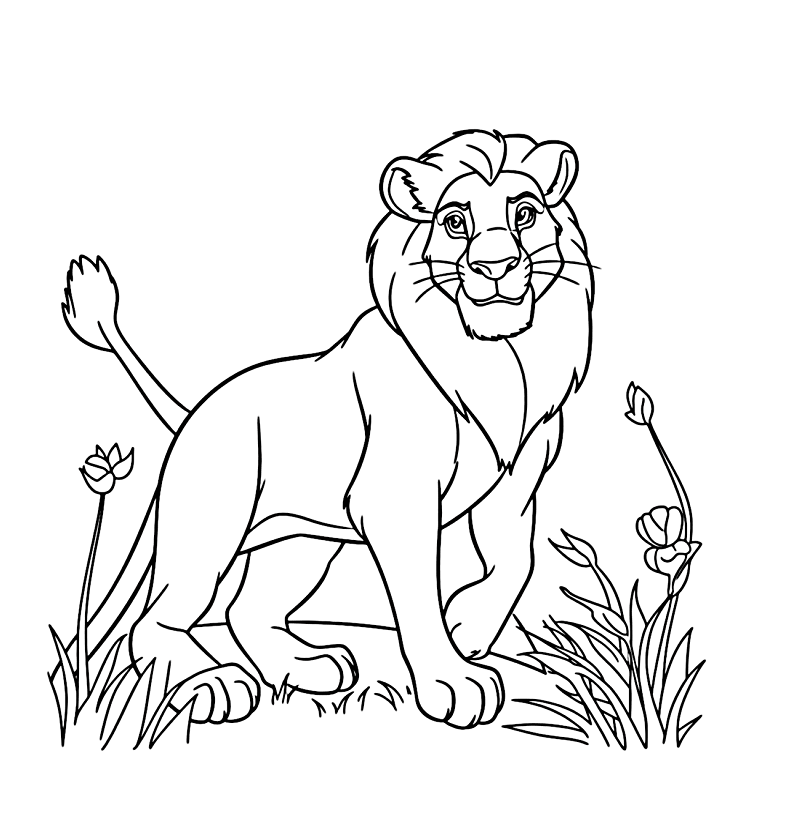 Aimba Lion Drawing