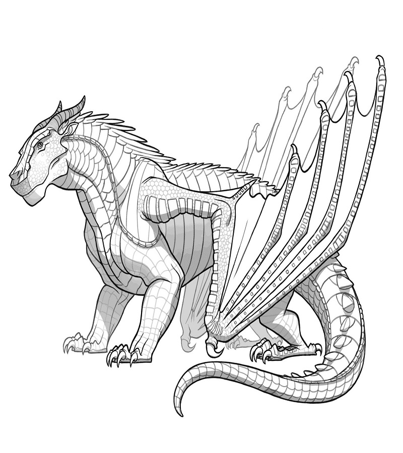 Awesome Mudwing Dragon