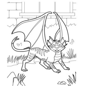Cat Dragon