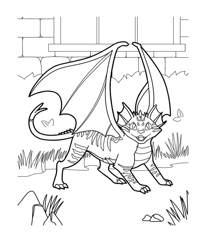 Cat Dragon