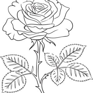 Cute Rose Coloring Pages