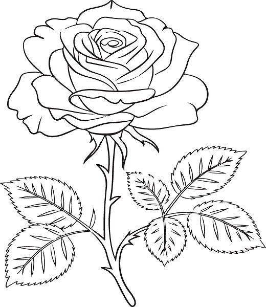 Cute Rose Coloring Pages
