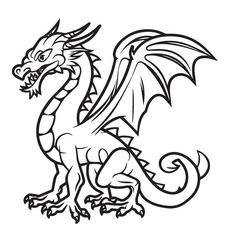 Dragon coloring book