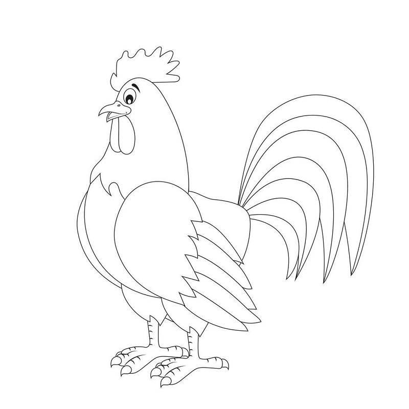 Free Rooster images to print