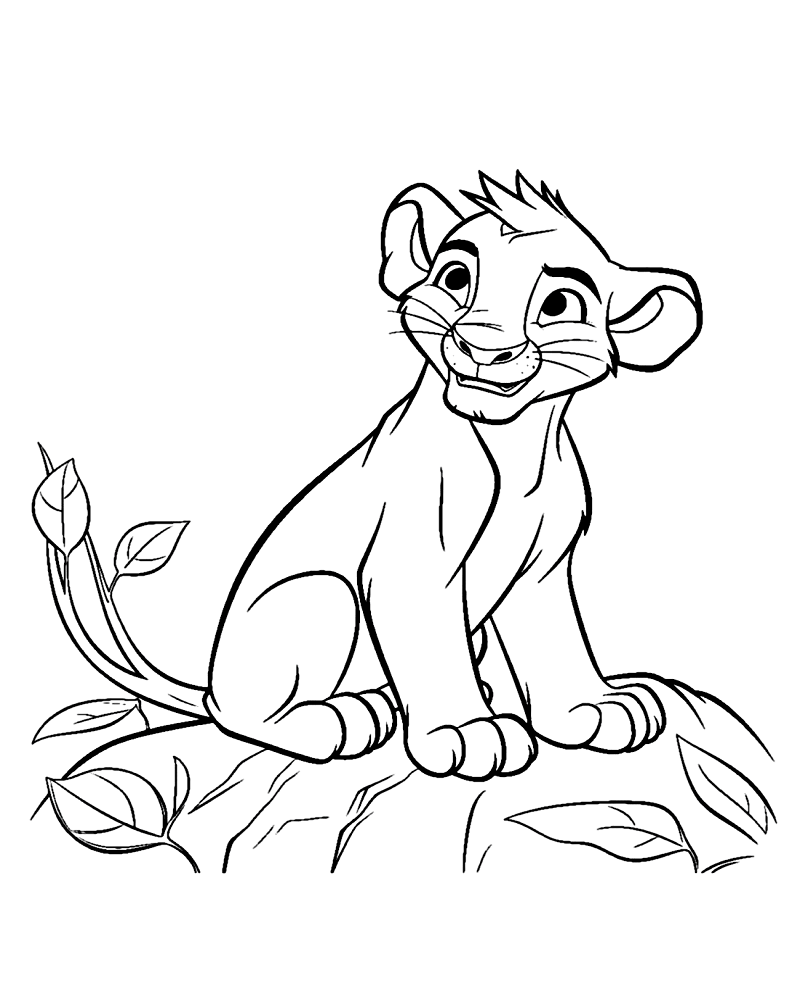 Kid Simba lion king