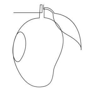 Mango Fruit drawing images