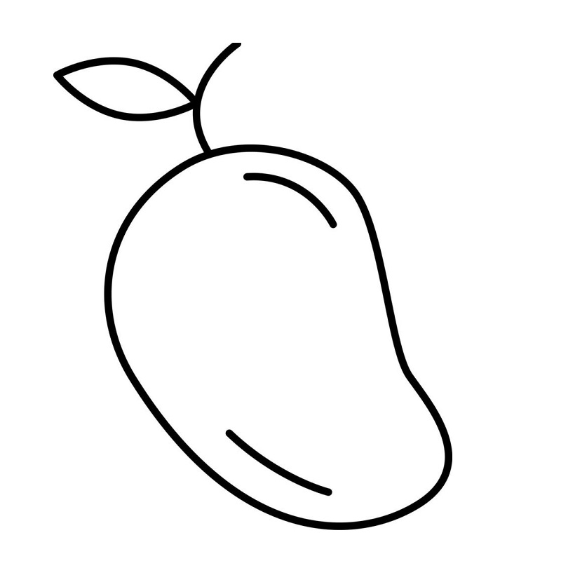 Mango drawing and colour