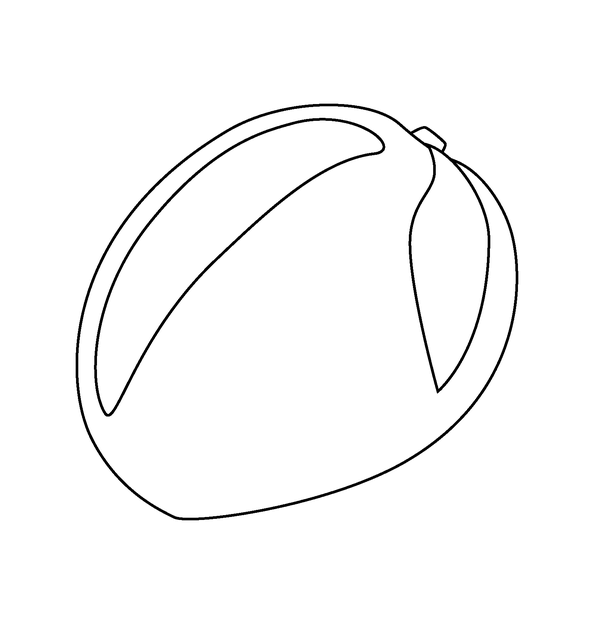 Mango drawing images with Colour