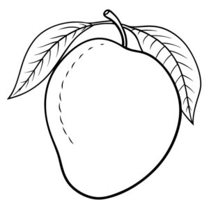 Mango drawing images with colour