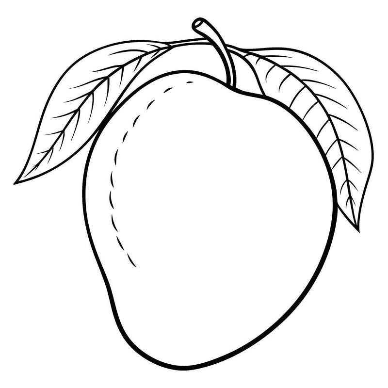 Mango drawing images with colour