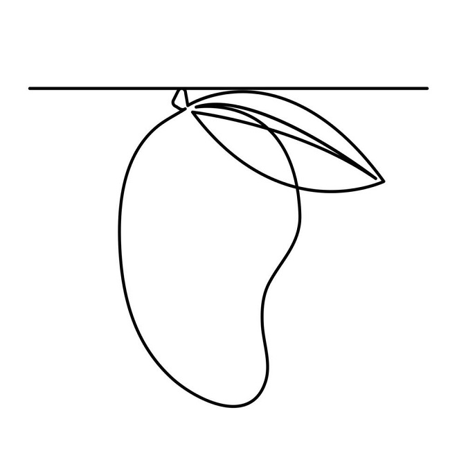 Mango fruit drawing for kids