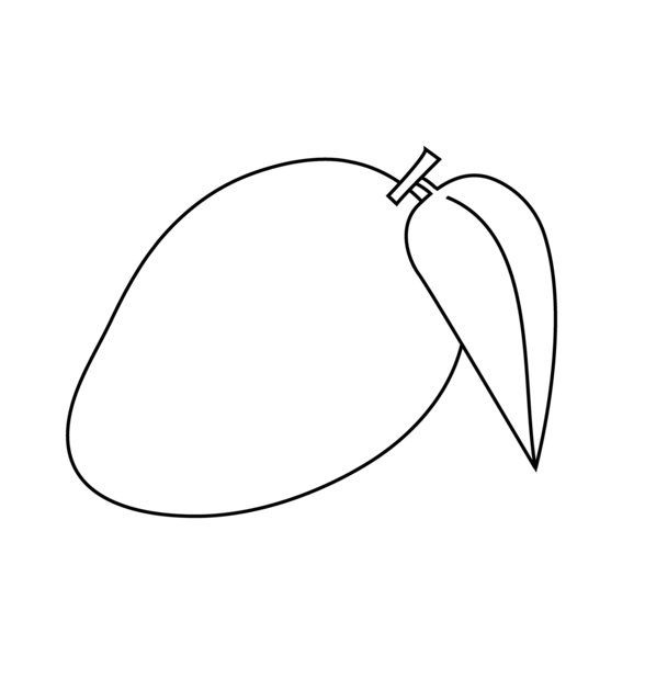 Mango images for drawing