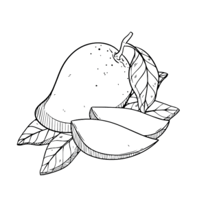 Printable Mango