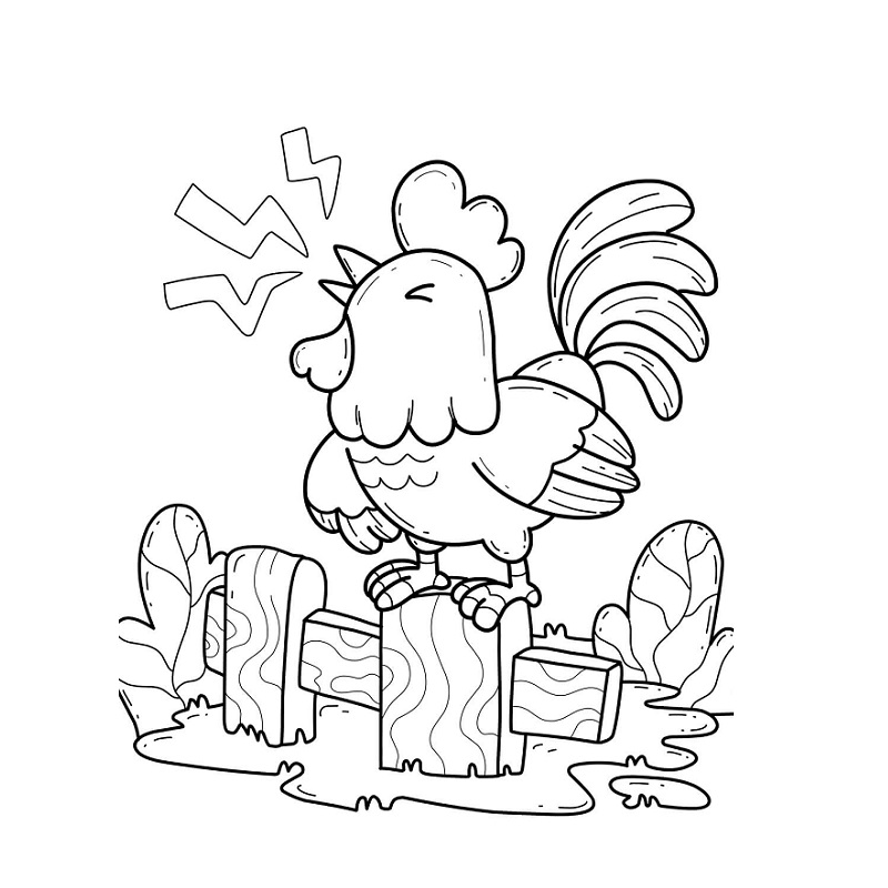 Rooster Crowing on the Fence