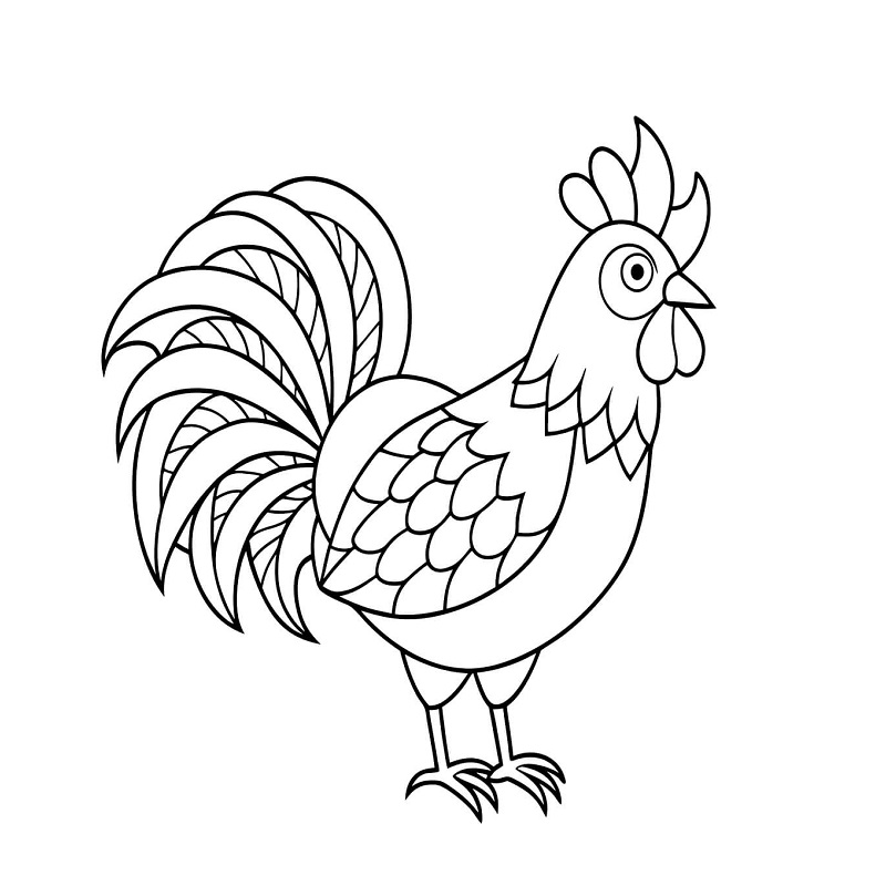 Rooster Intricate