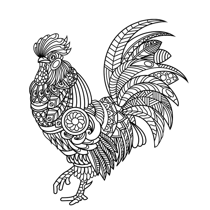 Rooster Zentangle