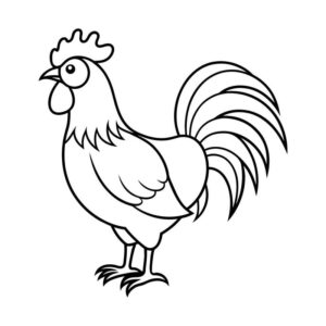 Rooster drawing simple