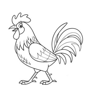 Rooster drawing simple step by step