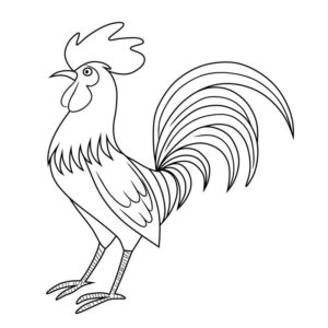 Rooster images download