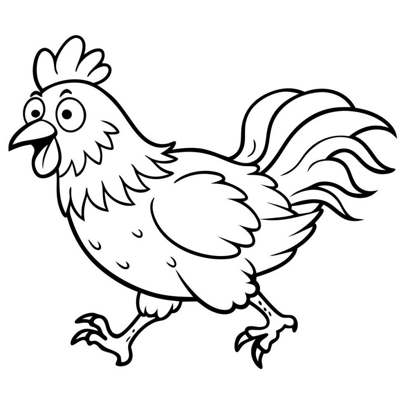 Rooster simple drawing for kids