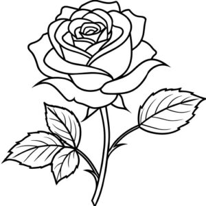 Rose coloring pages for kids