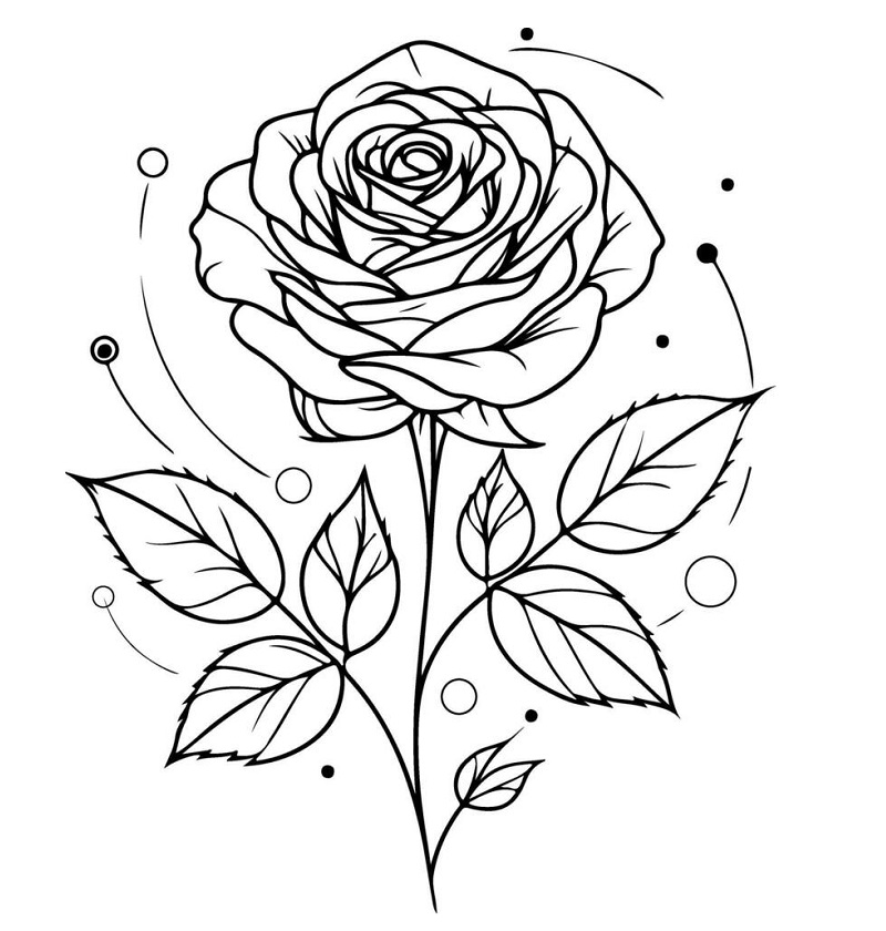 Rose drawing easy and beautiful