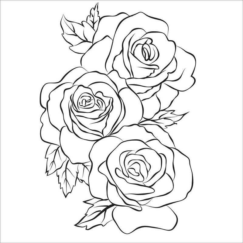 Rose drawing for children