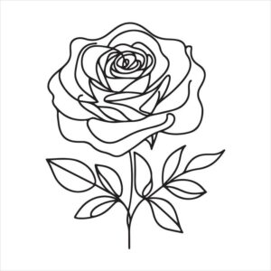 Rose drawing with colour