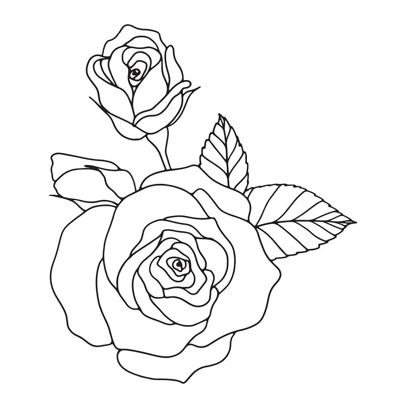 Rose flower coloring pages printable pdf