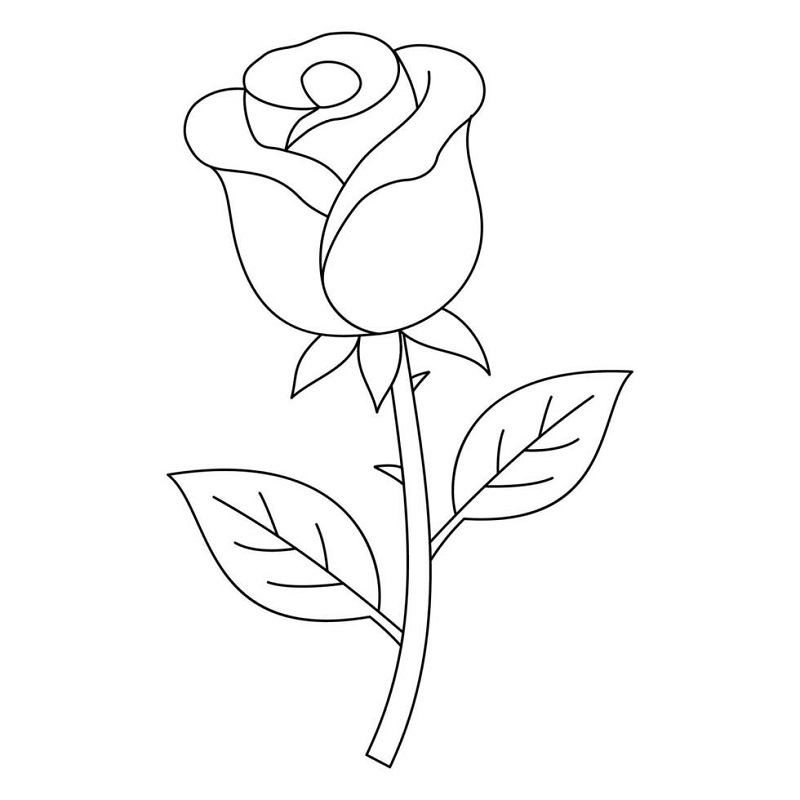 Rose flower coloring pages