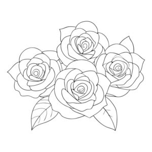 Rose flower drawing with color