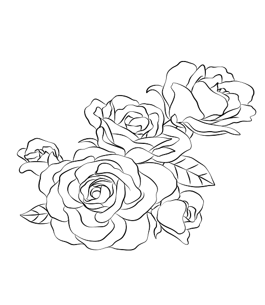 Roses