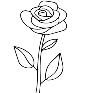 Simple rose images drawing