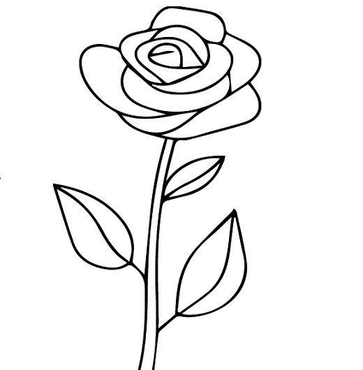 Simple rose images drawing