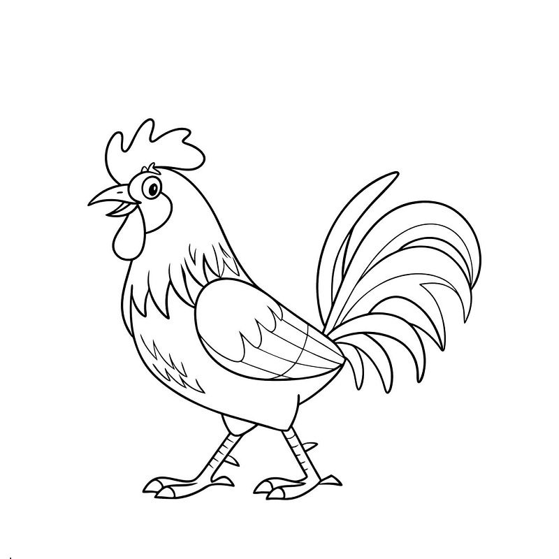 Standing Rooster