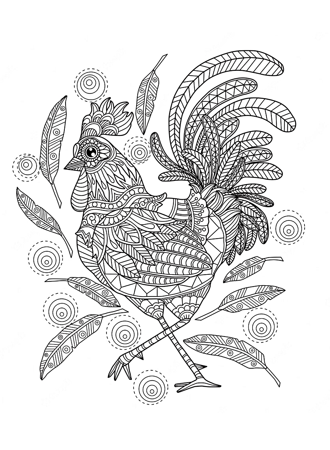 The artist Rooster