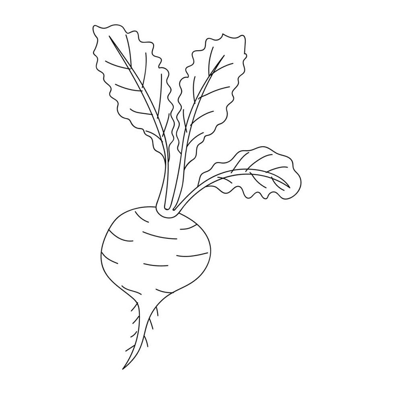 Turnip coloring pages pdf