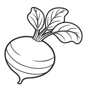 Turnip coloring pages printable pdf