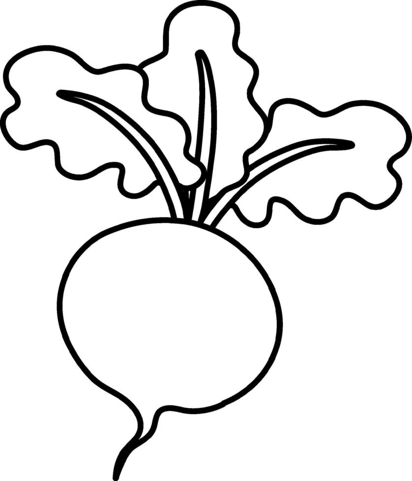 Turnip image for kids