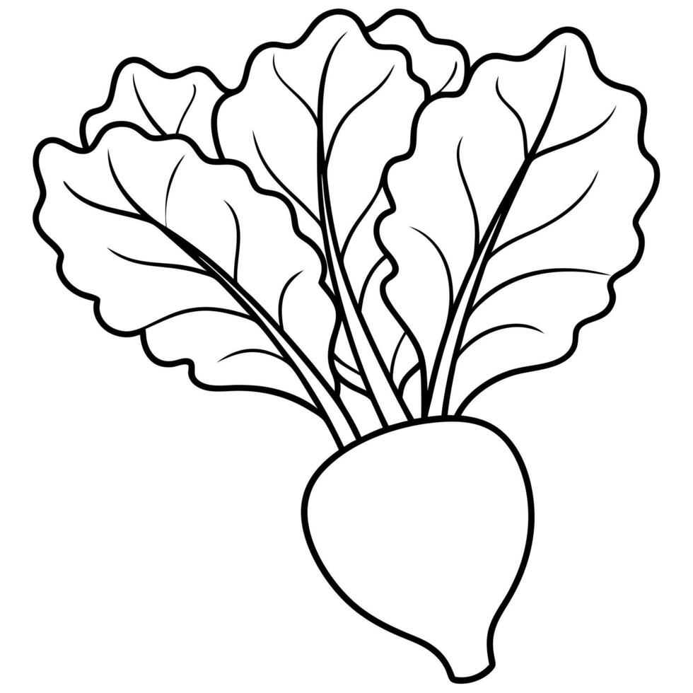 Turnip images download