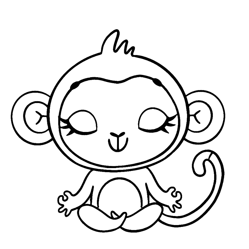 Yoga Monkey