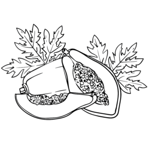 Papaya Images