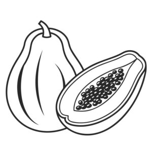 Papaya drawing for kids with colour