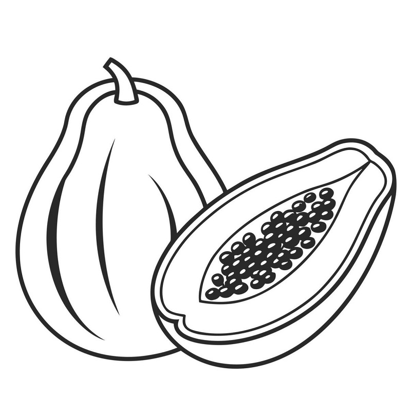 Papaya drawing for kids with colour