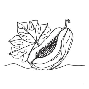 Papaya drawing images
