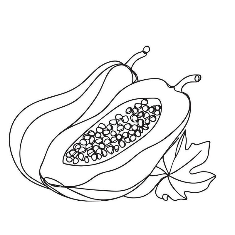 Papaya drawing images for kids