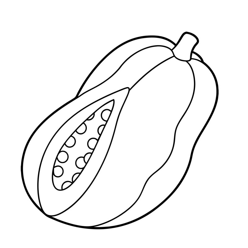 Papaya drawing with colour